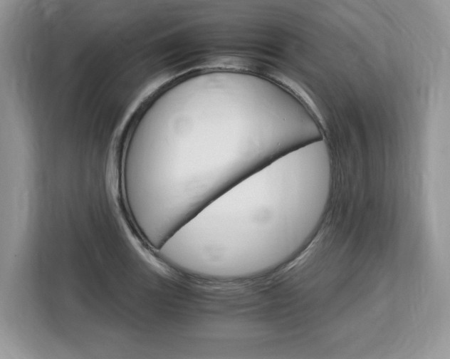 X0000113091131200908281002