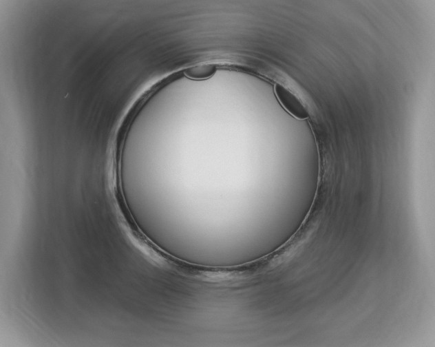 X0000113091132200908281002