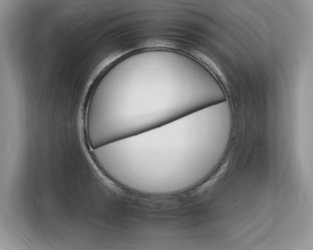 X0000113091133200908281002
