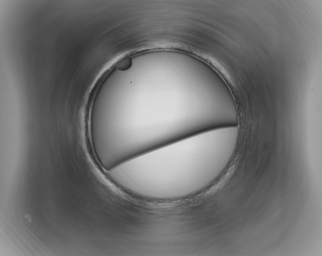 X0000113091134200908281002