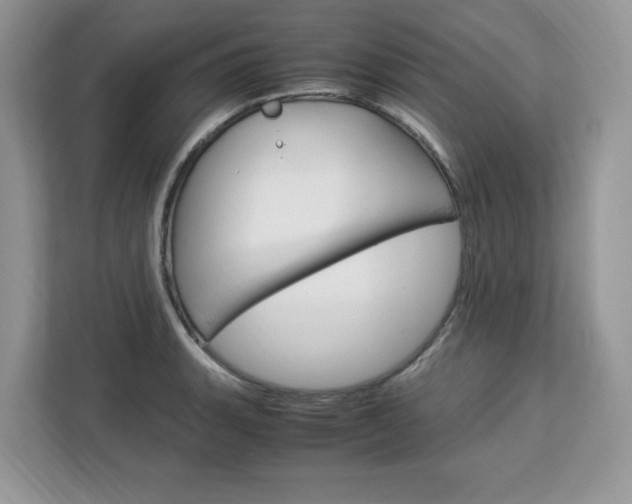X0000113091135200908281002