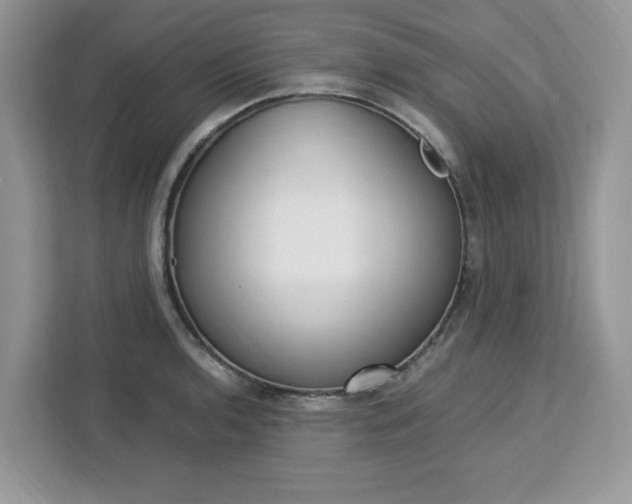 X0000113091136200908281002