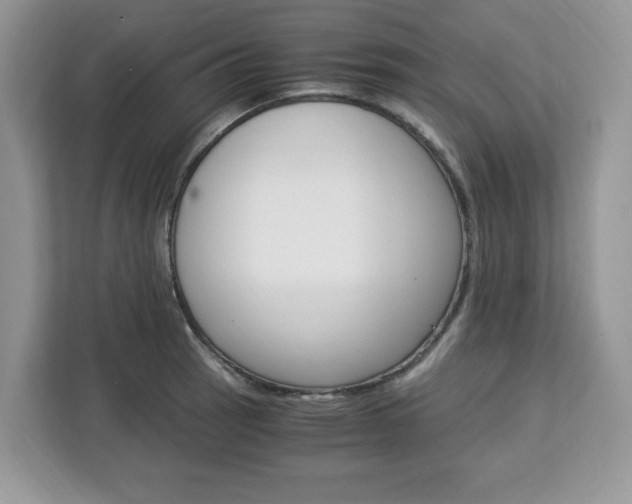 X0000113091137200908281002