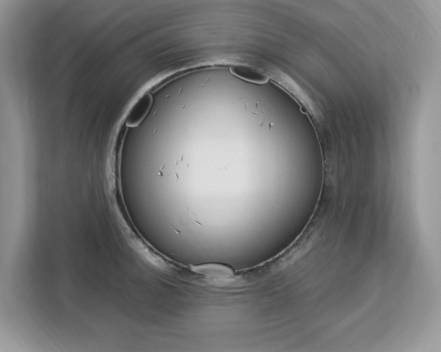 X0000113091140200908281002