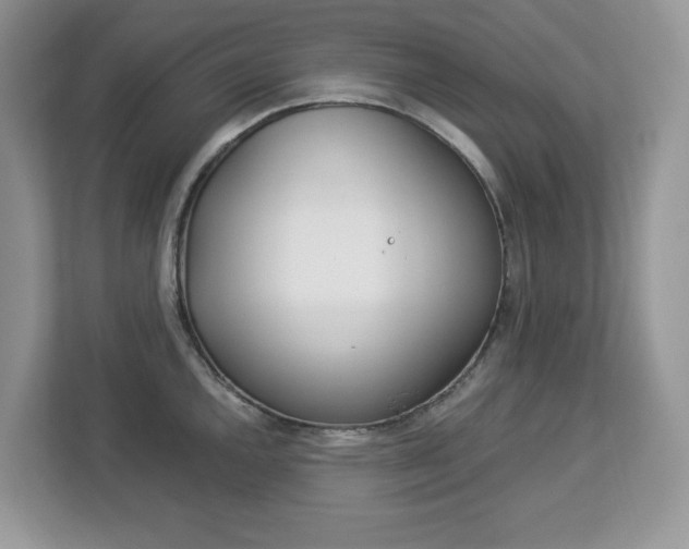 X0000113091144200908281002