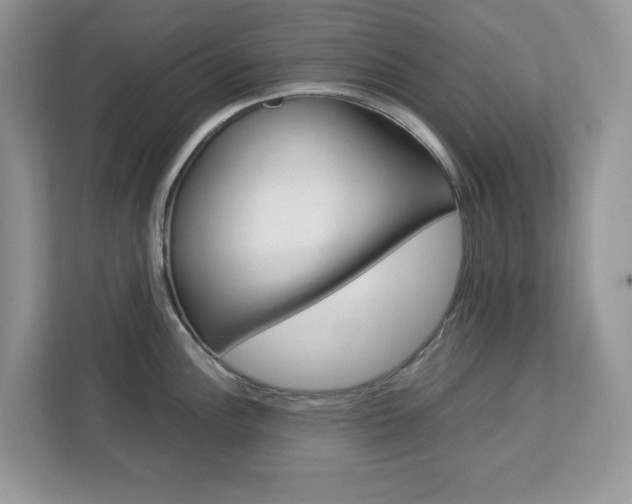 X0000113091148200908281002