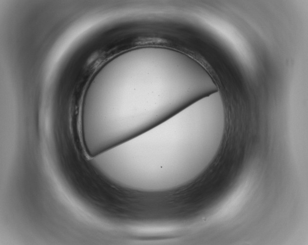 X0000113091151200908281002