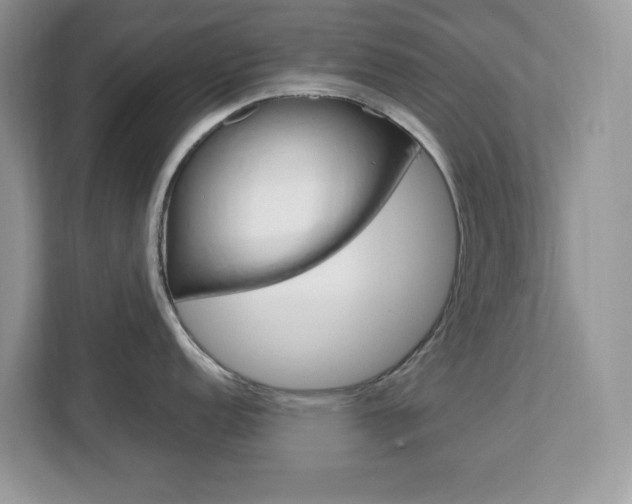 X0000113091152200908281002