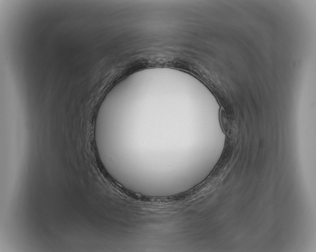 X0000113091153200908281001
