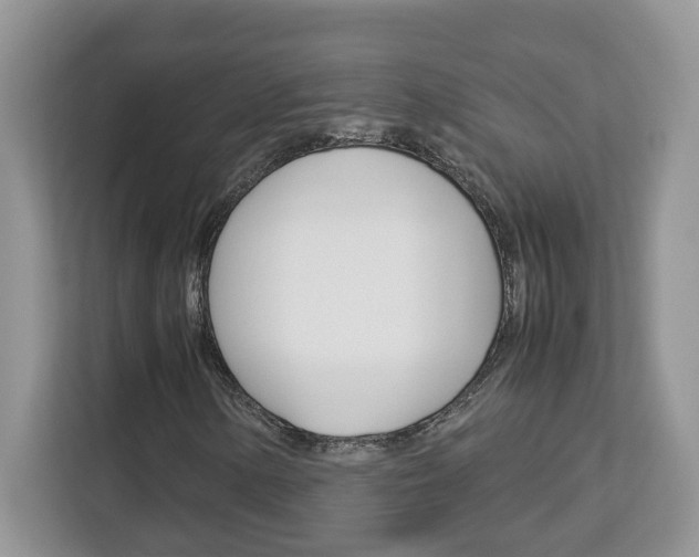 X0000113091154200908281001