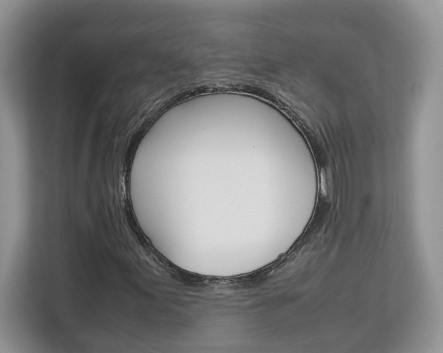 X0000113091155200908281001