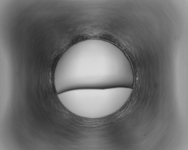 X0000113091156200908281001
