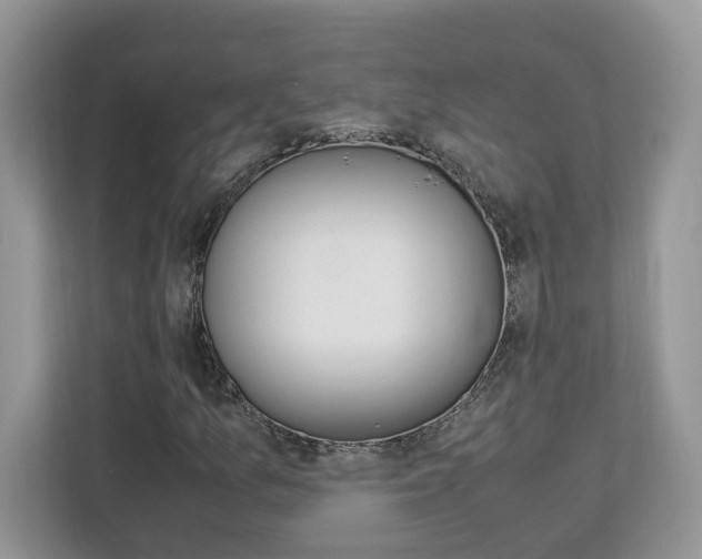 X0000113091157200908281001