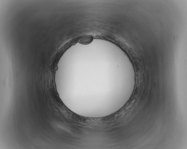 X0000113091158200908281001