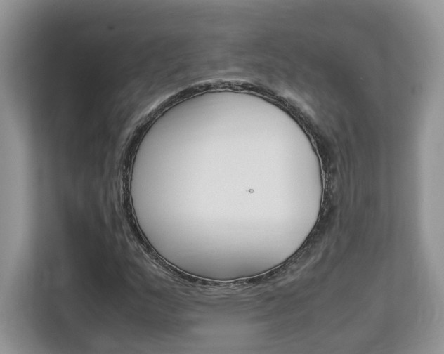 X0000113091159200908281001