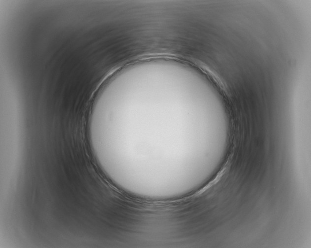 X0000113091162200908281001