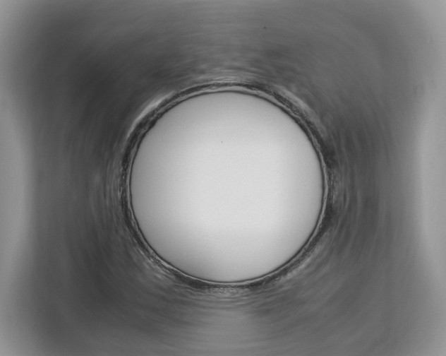 X0000113091163200908281001