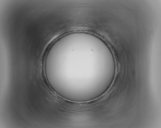 X0000113091165200908281001