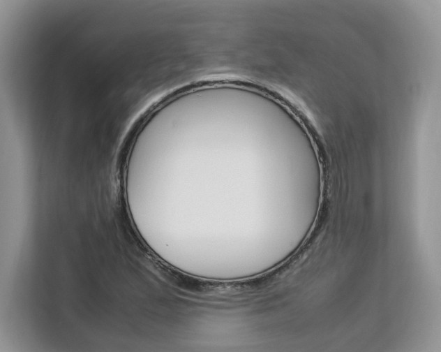 X0000113091167200908281001