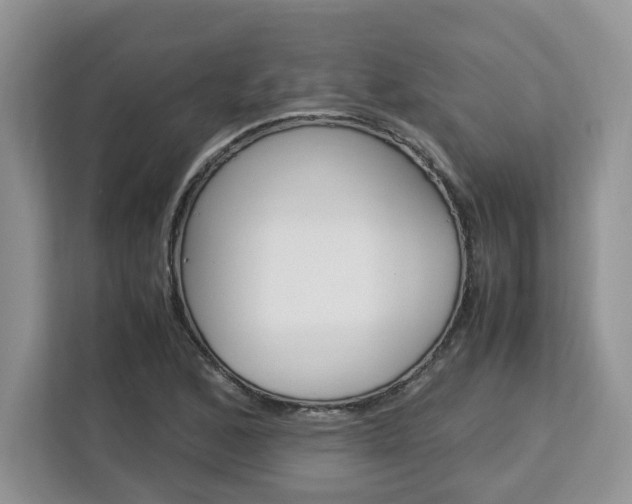 X0000113091168200908281001