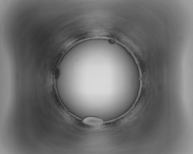 X0000113091169200908281001