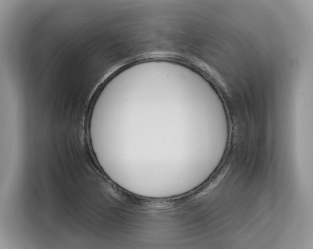 X0000113091170200908281001