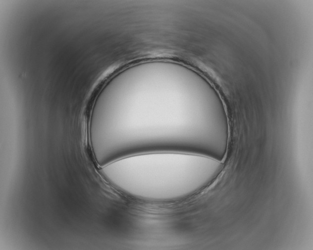 X0000113091171200908281001