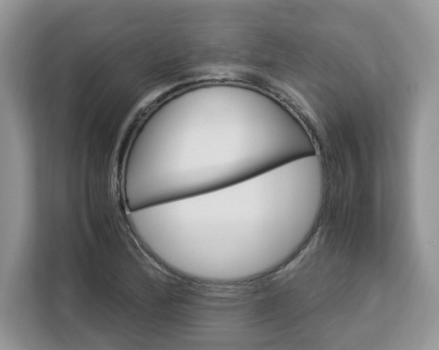 X0000113091172200908281001