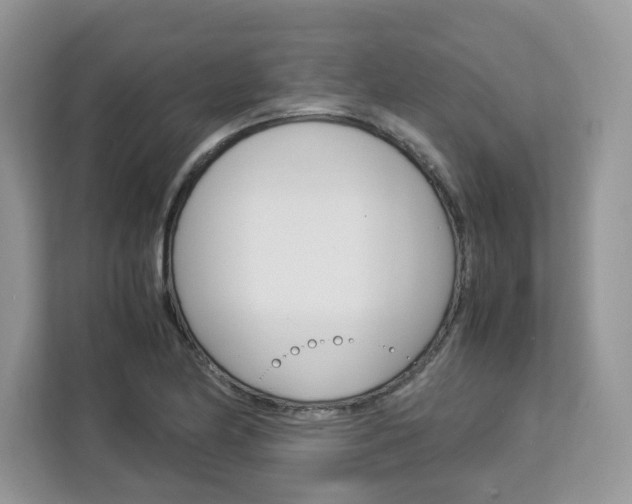X0000113091174200908281001