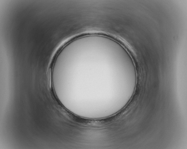 X0000113091175200908281001