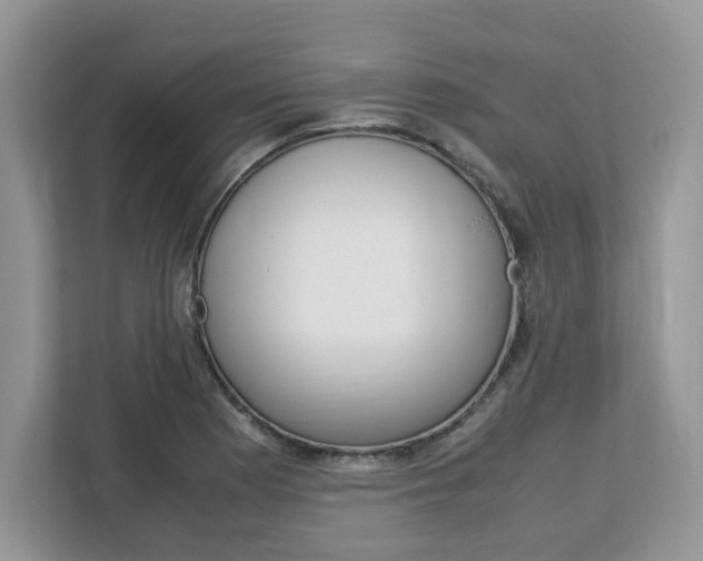 X0000113091177200908281001