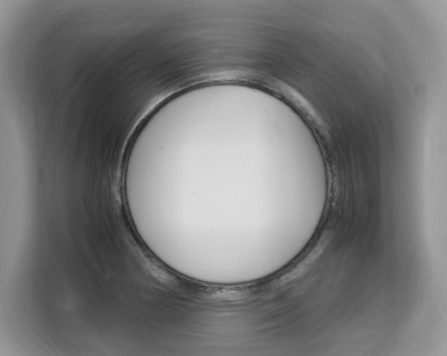 X0000113091178200908281001