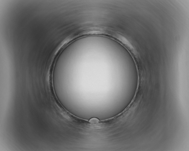 X0000113091181200908281001