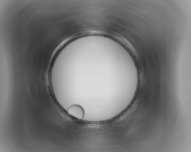 X0000113091182200908281001