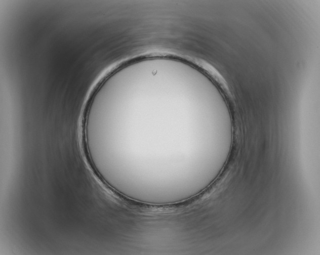 X0000113091183200908281001