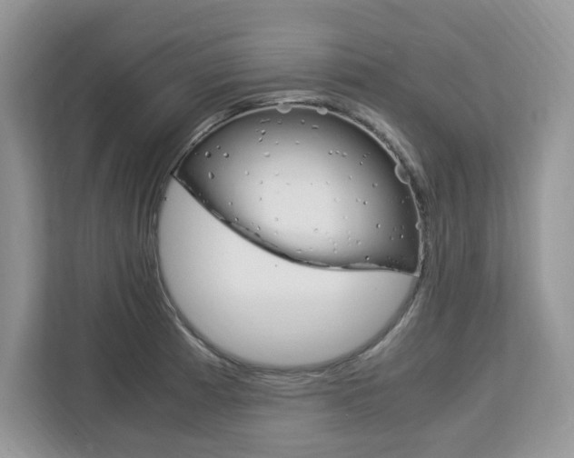 X0000113091185200908281001