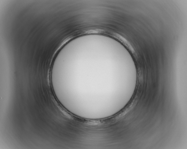 X0000113091186200908281001