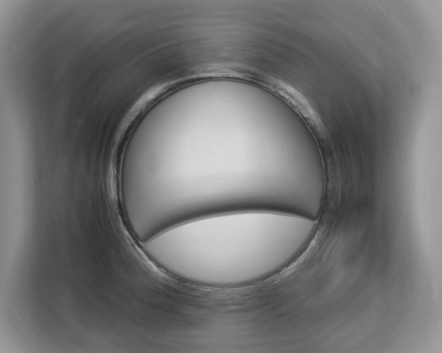 X0000113091188200908281001