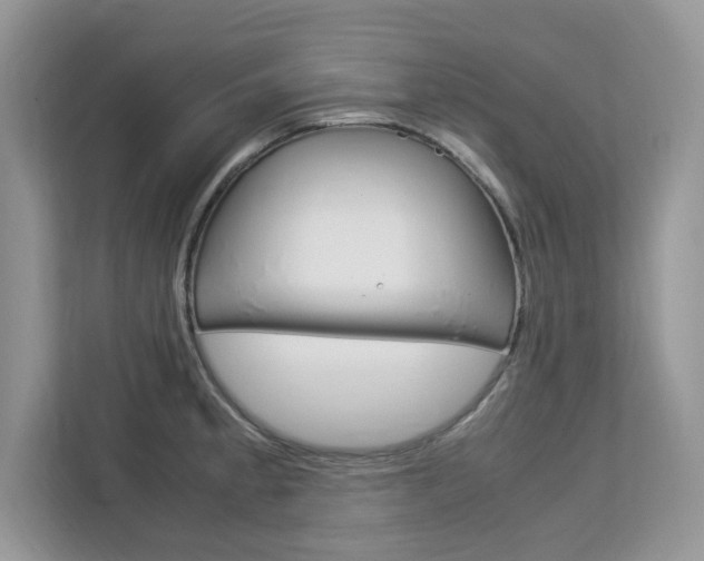 X0000113091189200908281001
