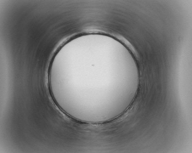 X0000113091191200908281001
