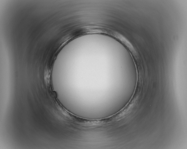 X0000113091193200908281001