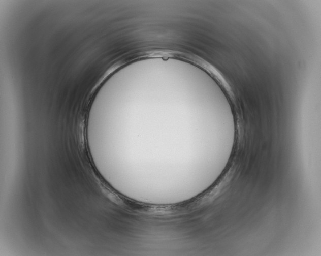 X0000113091194200908281001