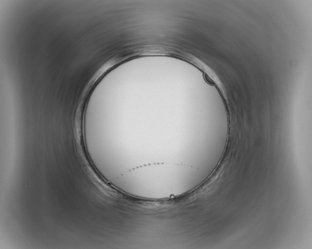 X0000113091195200908281001