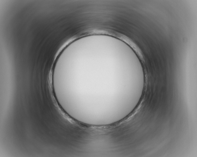 X0000113091198200908281001