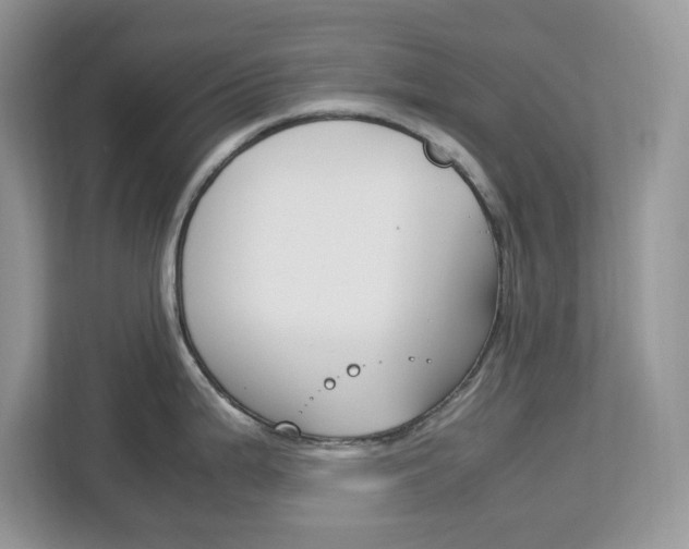 X0000113091199200908281001