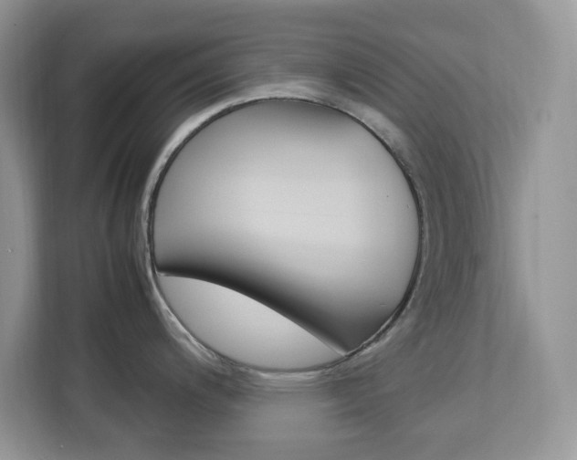 X0000113091200200908281001