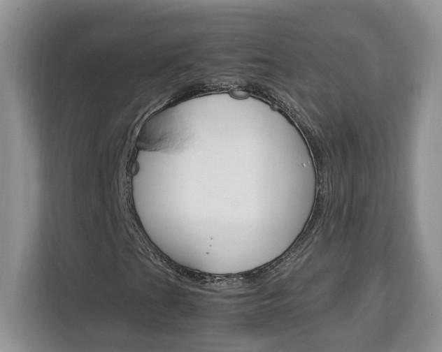X0000113091201200908281000