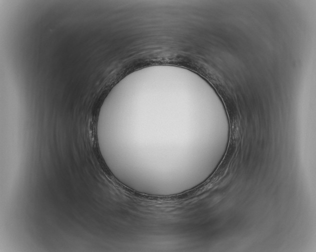 X0000113091202200908281000