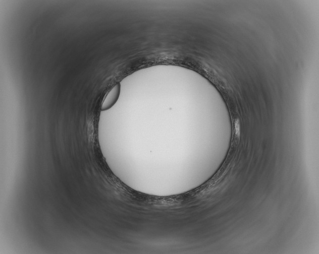 X0000113091203200908281000