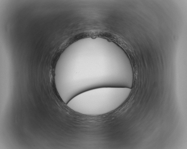X0000113091204200908281000